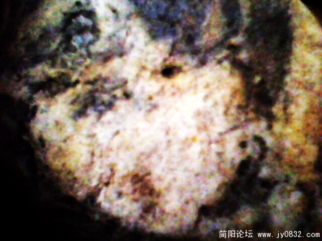 IMG0853A.jpg