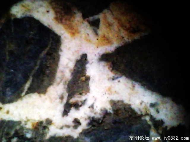 IMG0785A.jpg