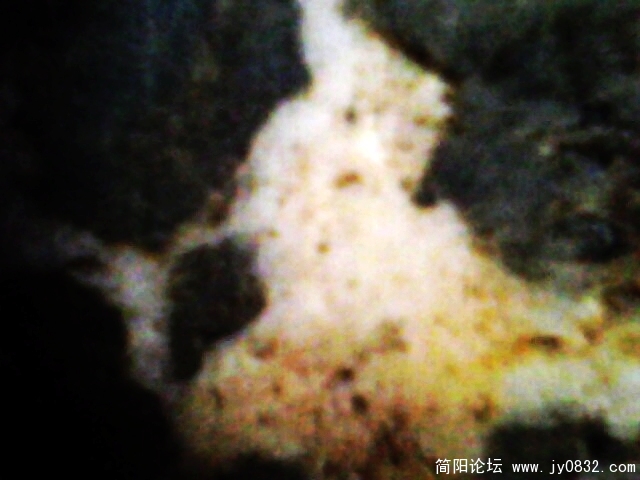 IMG0783A.jpg