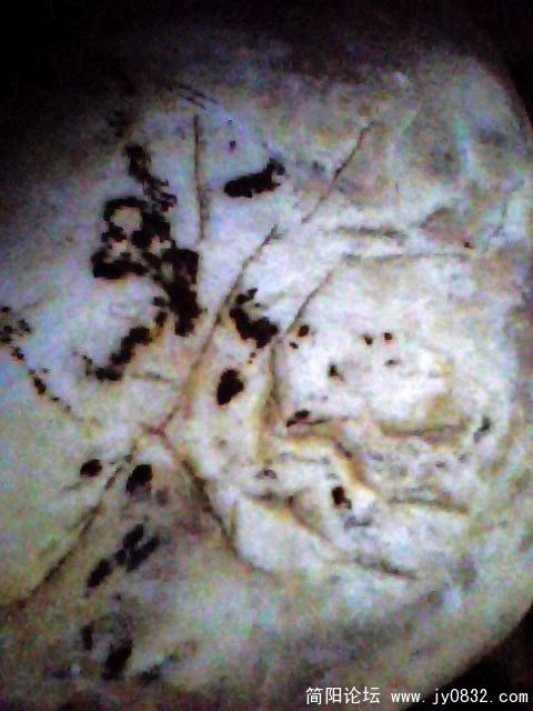 IMG0864A.jpg