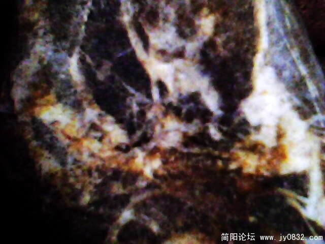 IMG0849A.jpg