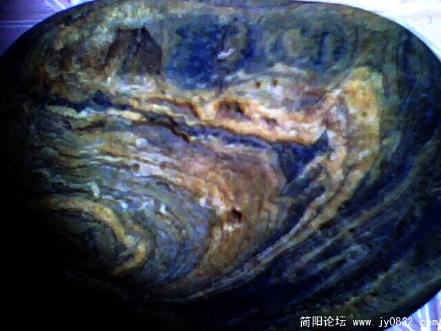 IMG0543A.jpg