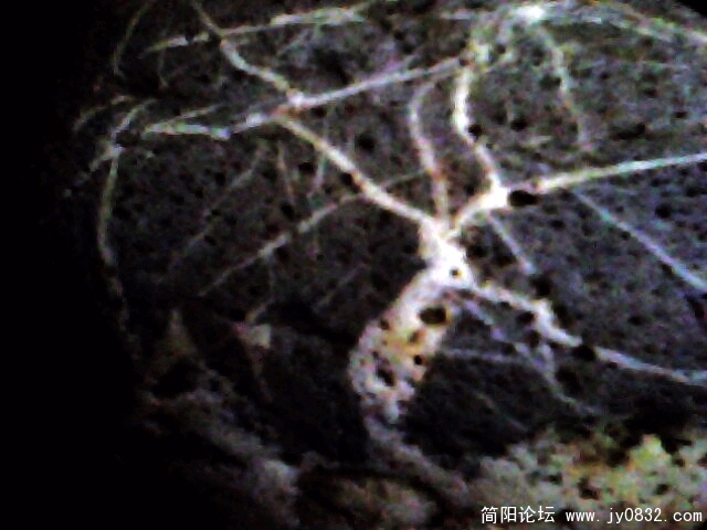 IMG0859A.jpg