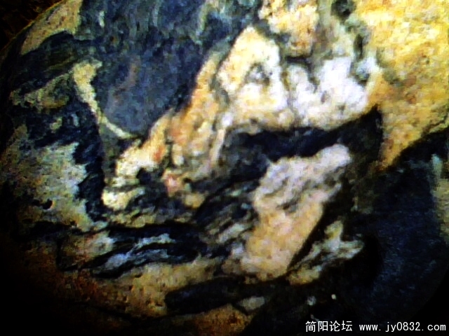 IMG0700A.jpg