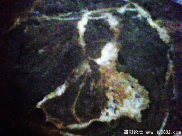 IMG0793A.jpg