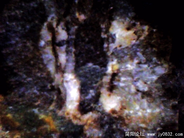 IMG0854A.jpg