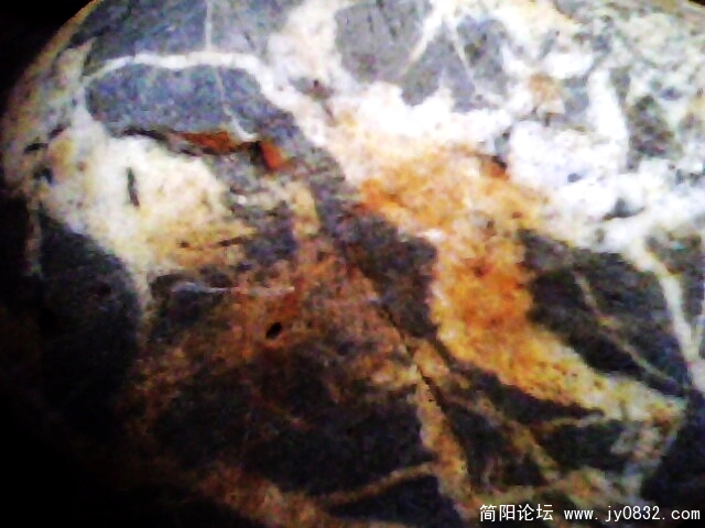 IMG0847A.jpg