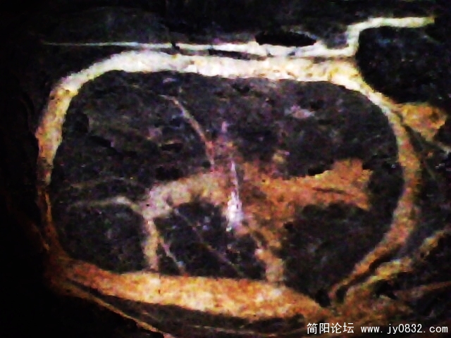 IMG0820A.jpg