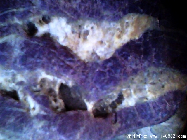 IMG0804A.jpg