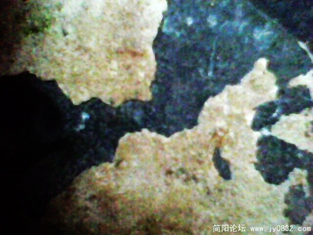 IMG0840A.jpg