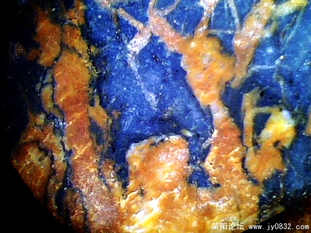 IMG0635A.jpg