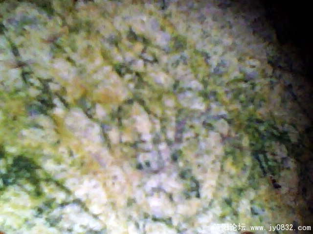 IMG0766A.jpg