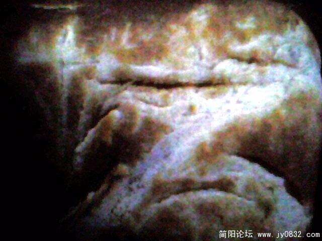 IMG0861A.jpg