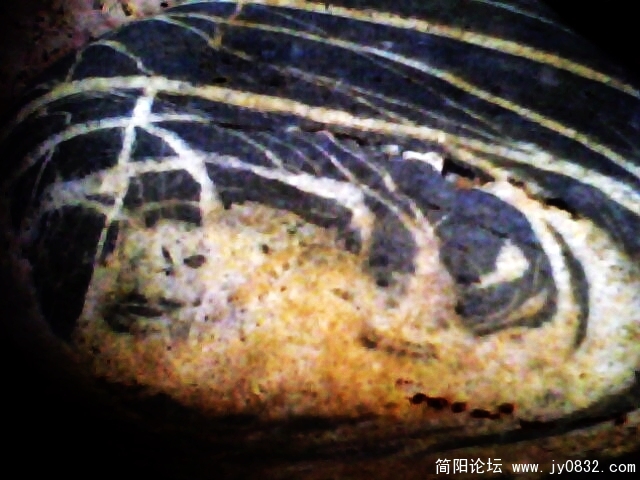 IMG0779A.jpg