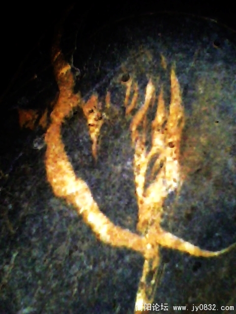 IMG0776A.jpg
