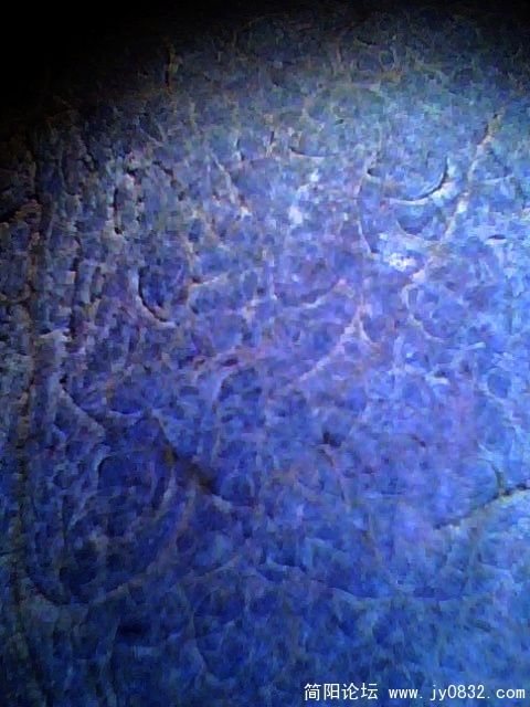IMG0504A.jpg