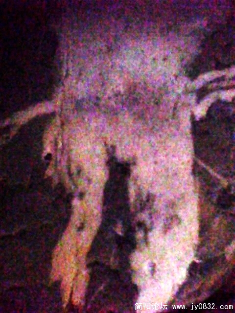 IMG0763A.jpg