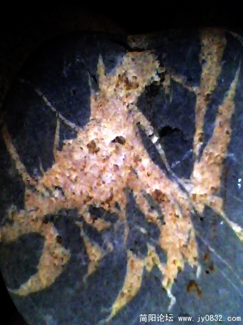 IMG0582A.jpg