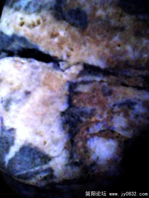 IMG0593A.jpg