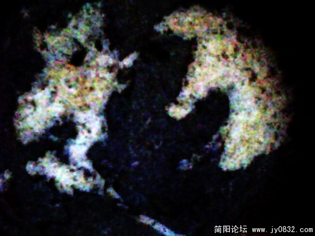 IMG0844A.jpg