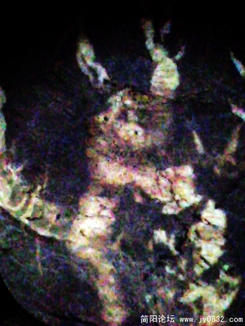 IMG0842A.jpg