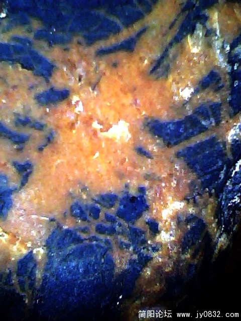 IMG0615A.jpg