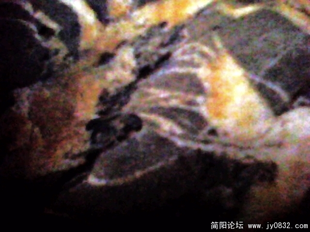 IMG0856A.jpg