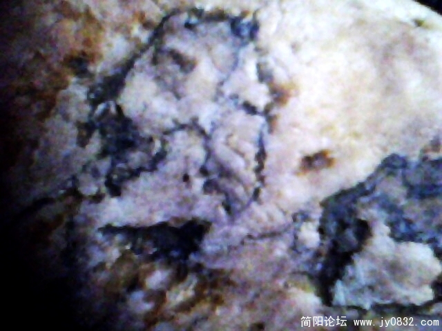 IMG0848A.jpg