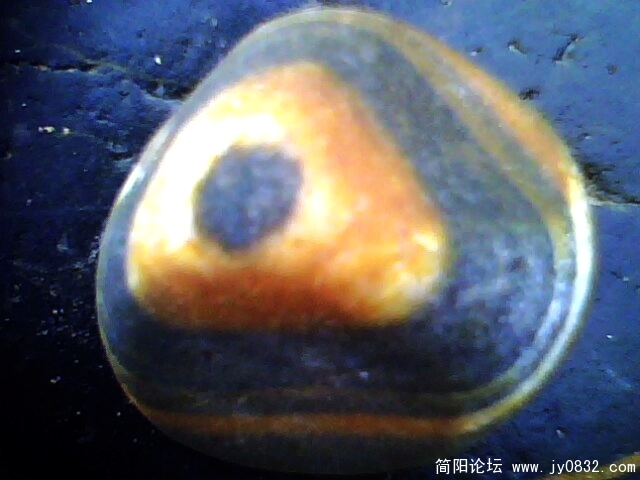 IMG0628A.jpg