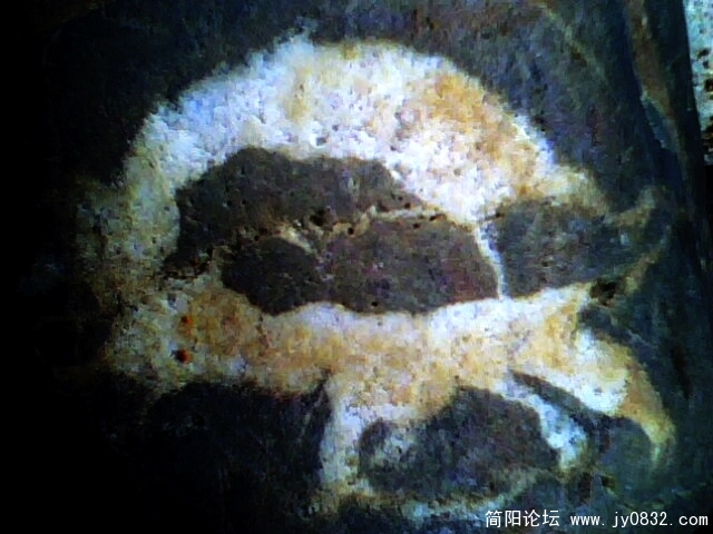 IMG0551A.jpg