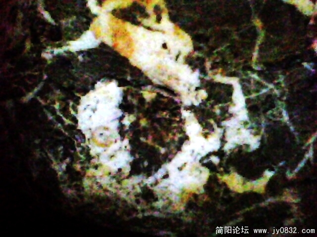 IMG0794A.jpg