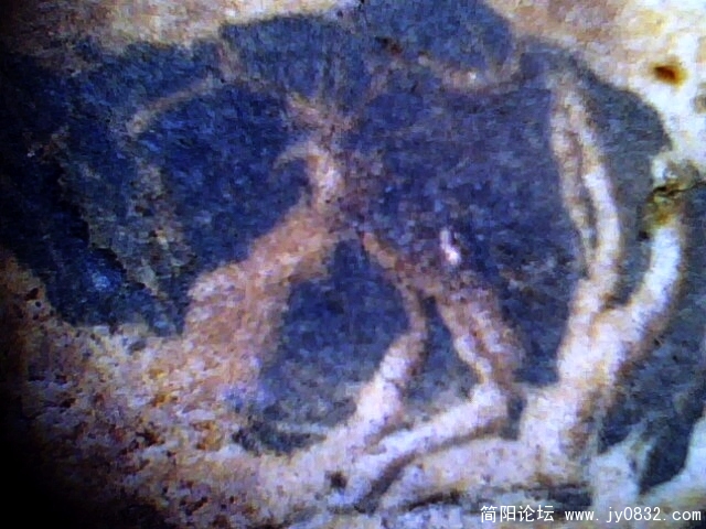IMG0567A.jpg