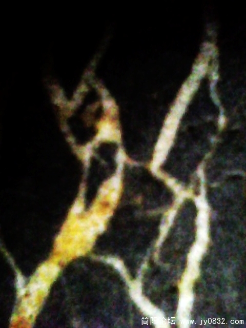 IMG0852A.jpg