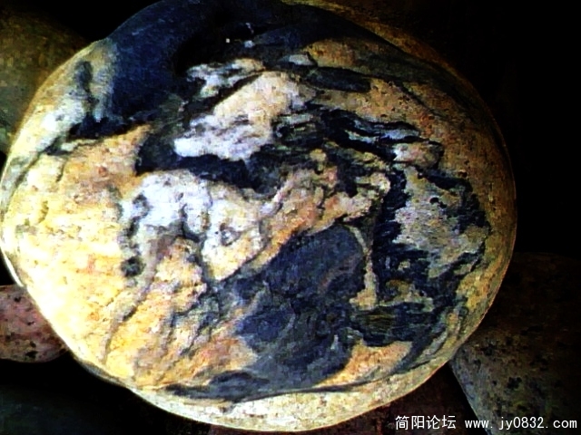 IMG0701A.jpg