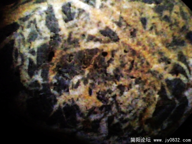 IMG0846A.jpg