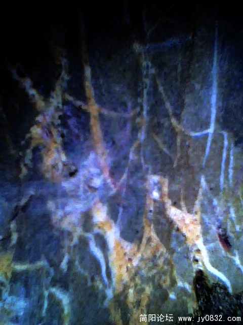 IMG0558A.jpg