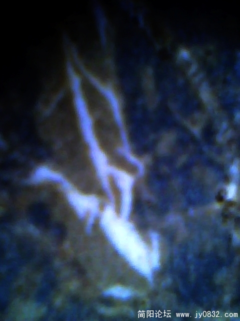 IMG0557A.jpg
