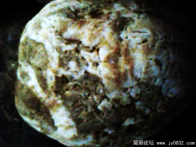 IMG0841A.jpg