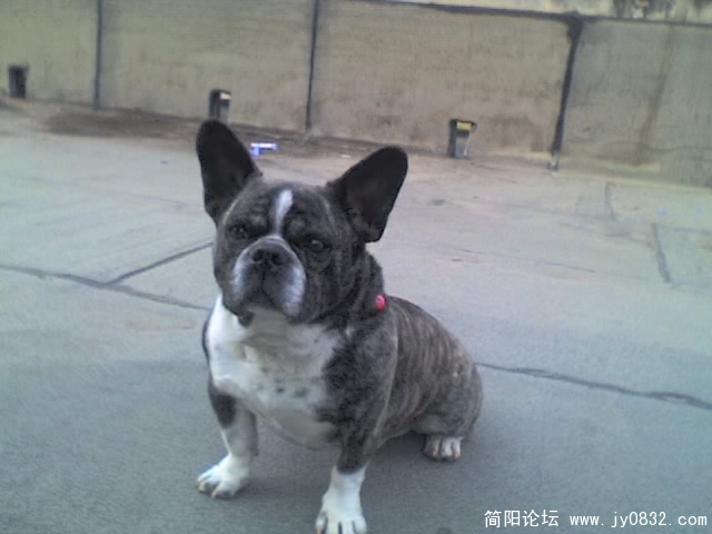 03-25-06_1643.jpg