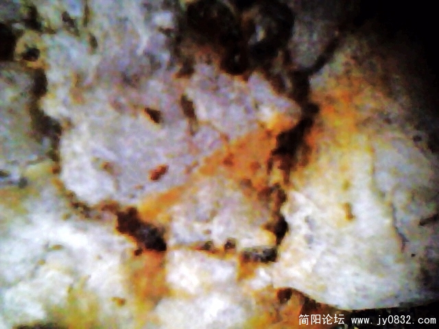 IMG0875A.jpg