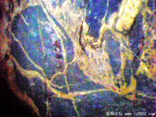 IMG0899A.jpg