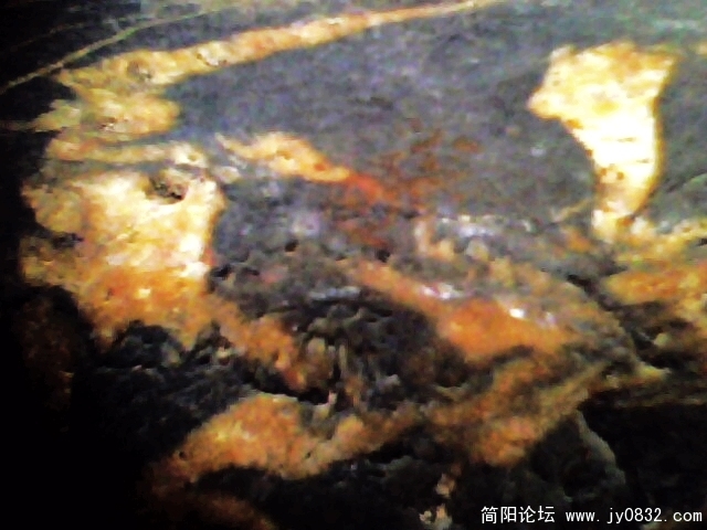 IMG0872A.jpg