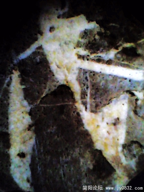 IMG0883A.jpg