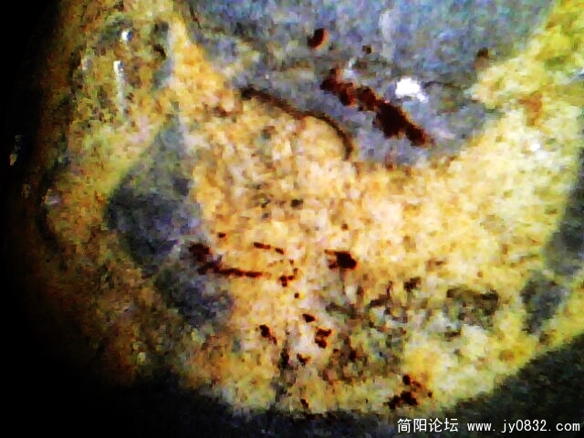 IMG0900A.jpg