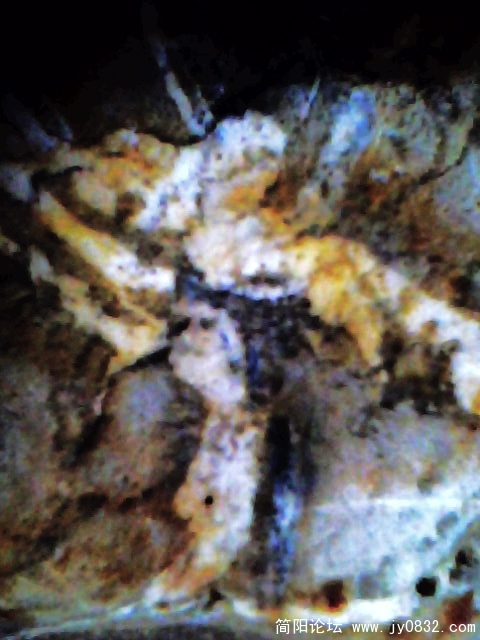 IMG0881A.jpg