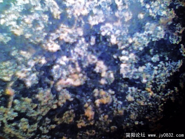 IMG0885A.jpg