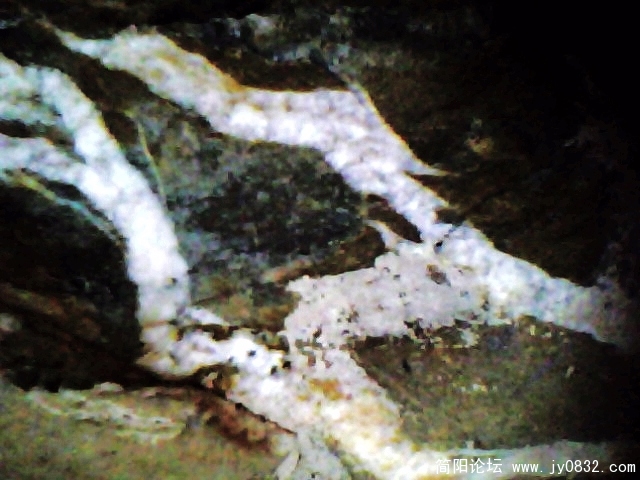 IMG0882A.jpg