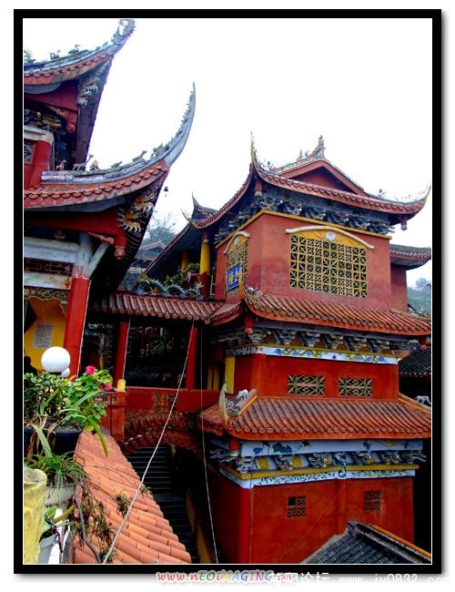 DSCF2931.jpg