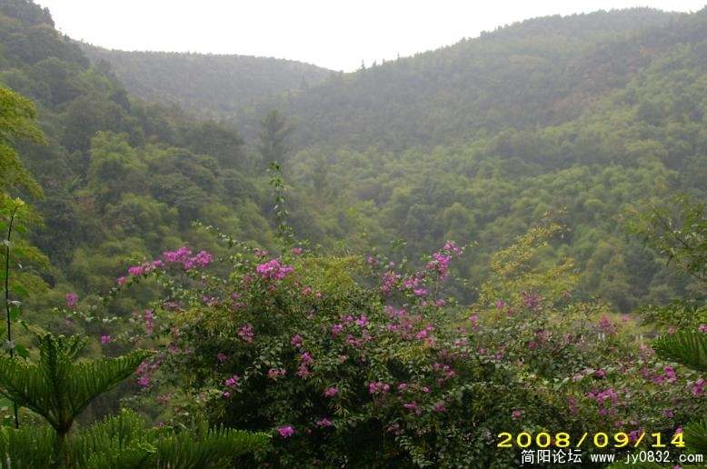 06.jpg