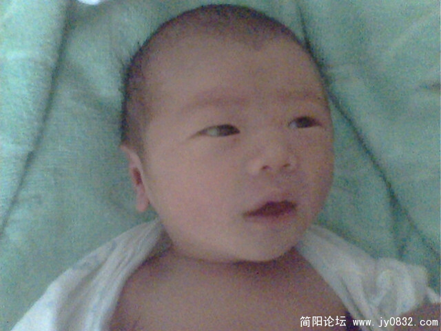 IMG0492A.jpg